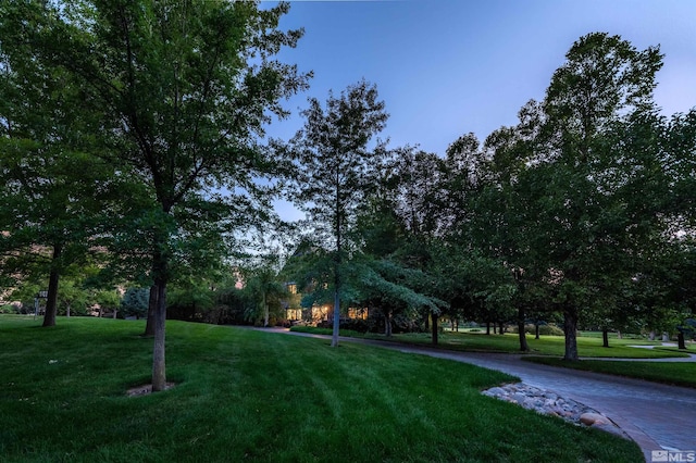 1185 Paddock Ln, Reno, NV 89521 - view of home's community featuring a yard