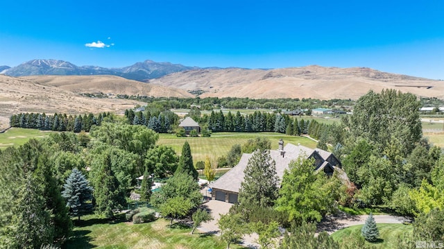 1185 Paddock Ln, Reno, NV 89521 - view of mountain background with rural landscape