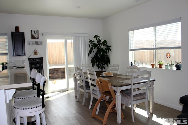 1332 Serenity Cir, Fernley, NV 89408 - dining room with healthy amount of natural light, wood finished floors, and baseboards