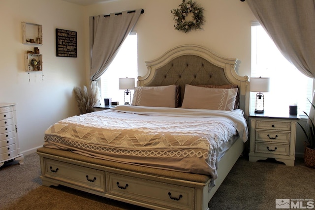1332 Serenity Cir, Fernley, NV 89408 - carpeted bedroom with multiple windows