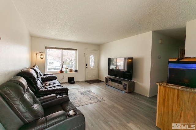 2225 Figoni Ranch Rd, Sparks, NV 89434 - living room featuring a textured ceiling and wood finished floors