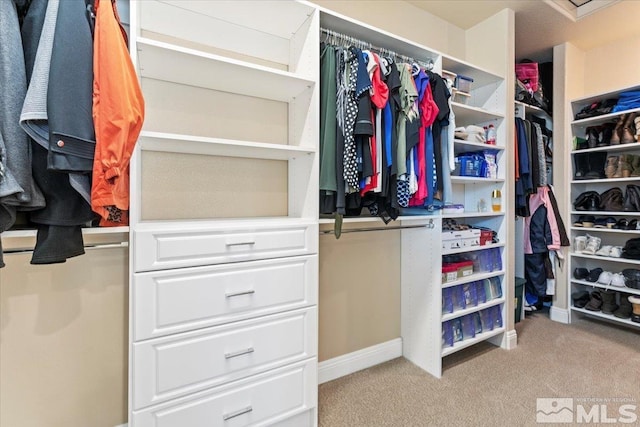 908 Sand Springs Dr, Sparks, NV 89441 - spacious closet featuring light carpet