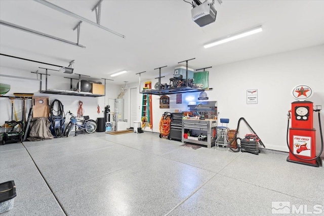 908 Sand Springs Dr, Sparks, NV 89441 - garage featuring a garage door opener and strapped water heater