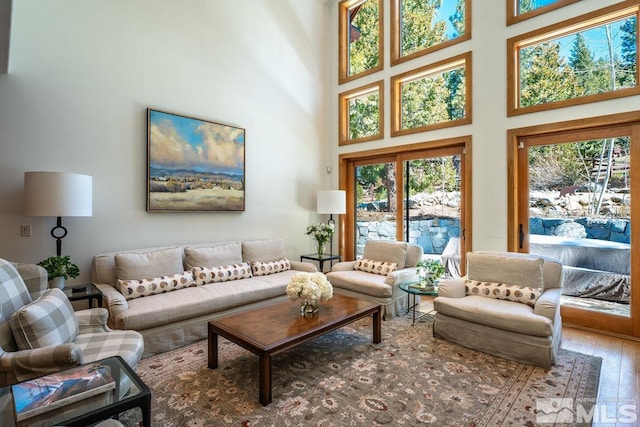 2147 The Back Rd, Glenbrook, NV 89413 - living room featuring wood-type flooring, healthy amount of natural light, and a towering ceiling
