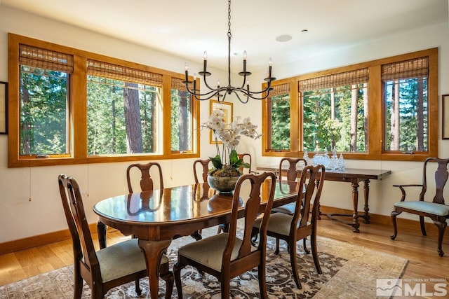 2147 The Back Rd, Glenbrook, NV 89413 - dining space featuring light wood finished floors, baseboards, and a chandelier