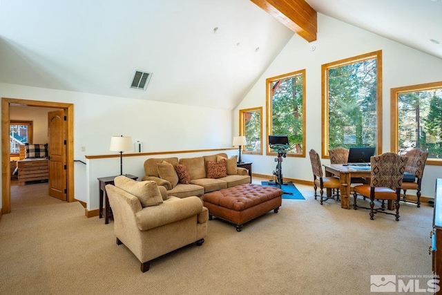 2147 The Back Rd, Glenbrook, NV 89413 - living room with light colored carpet and baseboards