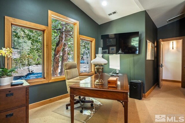 2147 The Back Rd, Glenbrook, NV 89413 - home office featuring lofted ceiling, healthy amount of natural light, baseboards, and light colored carpet