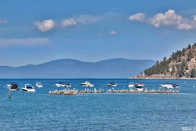 2147 The Back Rd, Glenbrook, NV 89413 - water view featuring a mountain backdrop