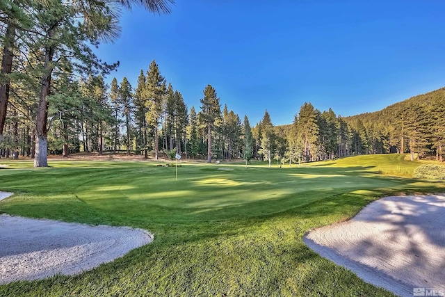 2147 The Back Rd, Glenbrook, NV 89413 - surrounding community featuring a lawn, a view of trees, a putting area, and view of golf course