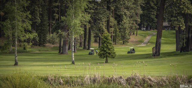 2147 The Back Rd, Glenbrook, NV 89413 - surrounding community featuring a lawn