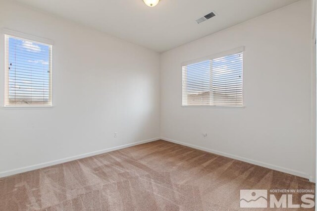 801 Pinchot Pass Ct, Sparks, NV 89436 - photo 20