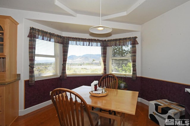 45 Lower Colony Rd, Wellington, NV 89444 - dining room with wood finished floors and baseboards