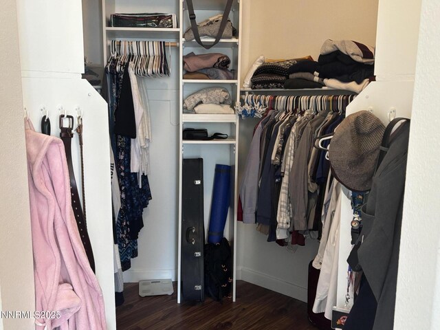 10316 Sterling View Ct, Reno, NV 89521 - view of closet