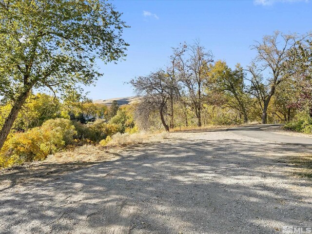 2528 Comstock Dr, Reno, NV 89512 - photo 34