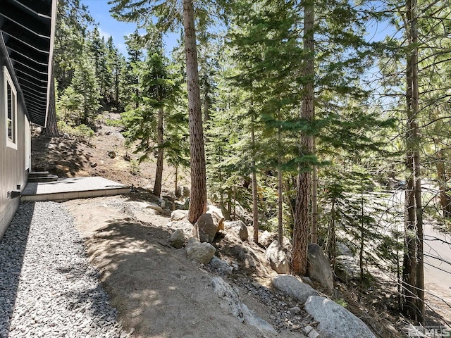 421 Edgewood Dr, Stateline, NV 89449 - view of yard