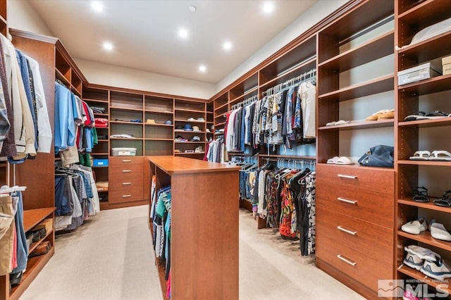 6645 De Chardin Ln, Reno, NV 89511 - spacious closet featuring light colored carpet