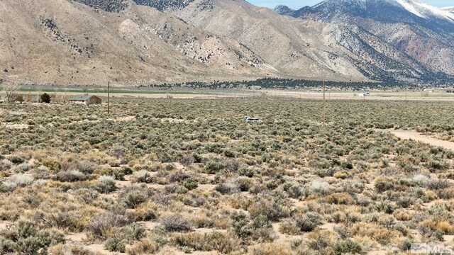 247 Artist View Rd, Wellington, NV 89444 - photo 3