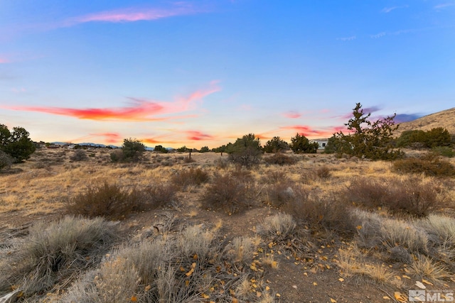 view of undeveloped land