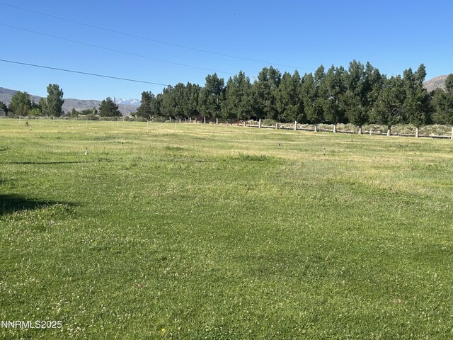 50 Miller Ridge Rd, Wellington, NV 89444 - photo 13