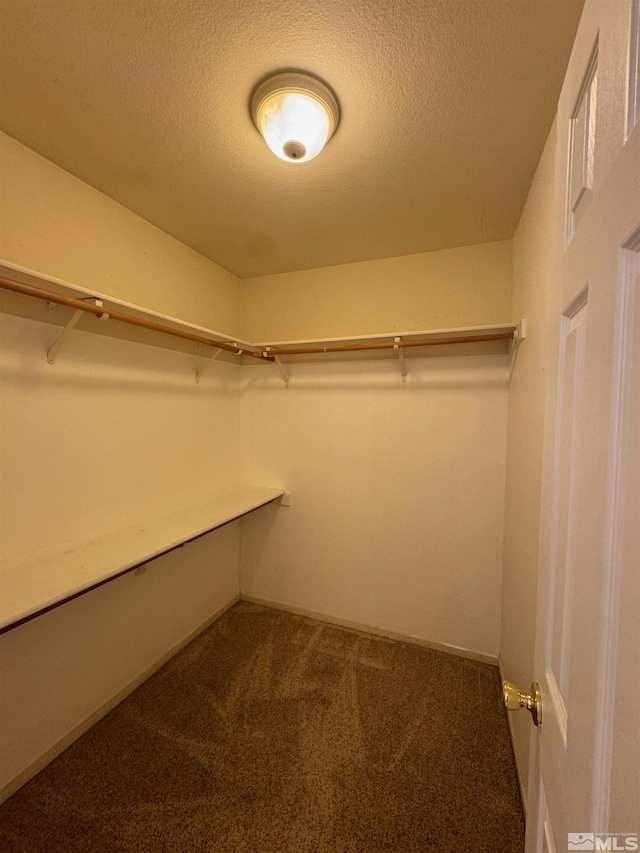 7655 Los Lagos Ave, Sparks, NV 89436 - spacious closet featuring carpet