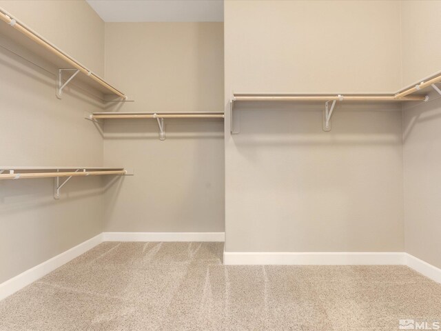 11641 Vista Park Dr, Sparks, NV 89441 - walk in closet with carpet floors
