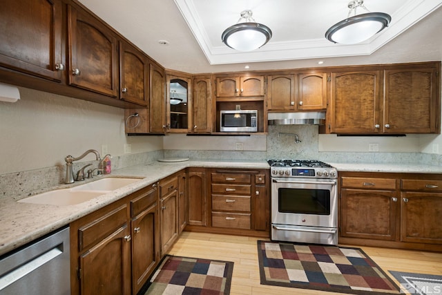 2266 W Washington St, Carson City, NV 89703 - kitchen with appliances with stainless steel finishes, a sink, ventilation hood, a raised ceiling, and light wood-style flooring