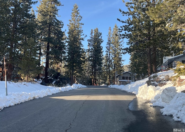 255 Sherwood Ct, Stateline, NV 89449 - view of asphalt street