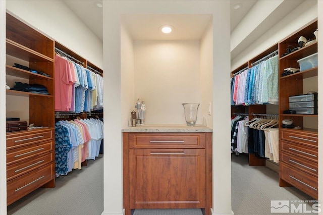 spacious closet with carpet