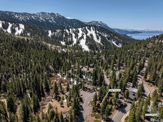 1348 Tirol Dr, Incline Village, NV 89451 - view of mountain backdrop with a heavily wooded area
