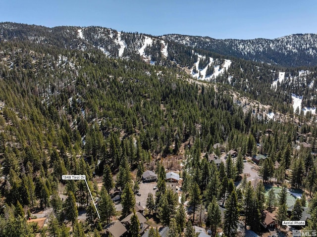 1348 Tirol Dr, Incline Village, NV 89451 - view of mountain backdrop featuring a heavily wooded area