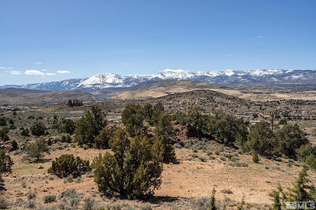 0 Temple Hill Rd, Reno, NV 89521