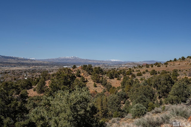 0 Temple Hill Rd, Reno, NV 89521