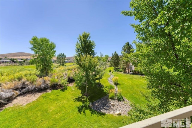 6140 Ingleston Dr Unit 525, Sparks, NV 89436 - view of green lawn