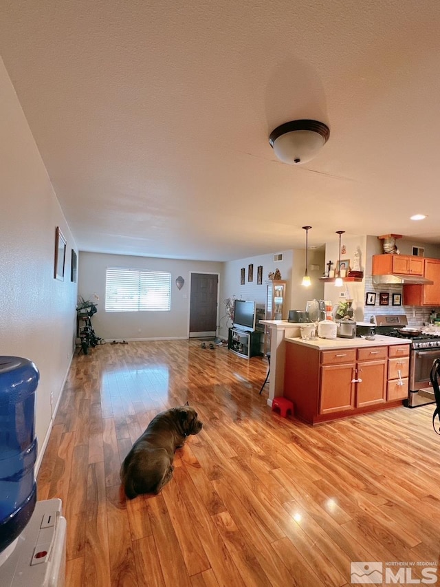 695 York Way, Sparks, NV 89431 - living room with light wood-style floors and baseboards