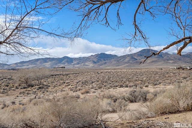 19 Sandefer Ln, Dayton, NV 89403 - photo 41