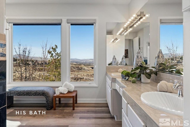 10241 Zuni Ridge Trl, Reno, NV 89511 - bathroom with wood finished floors, double vanity, plenty of natural light, and baseboards