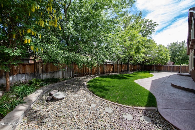 6841 Talmedge Cir, Sparks, NV 89436 - view of yard with a patio
