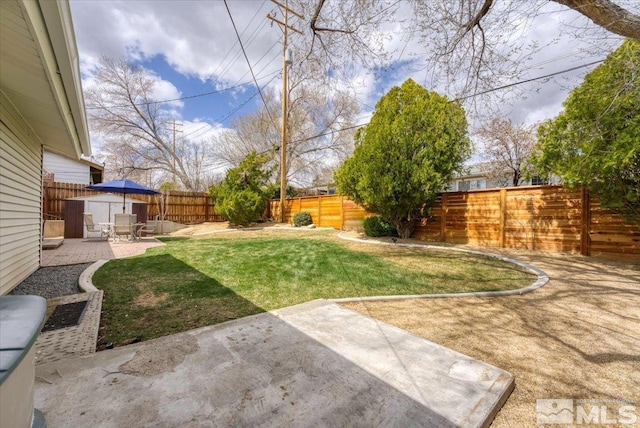 view of yard featuring a patio