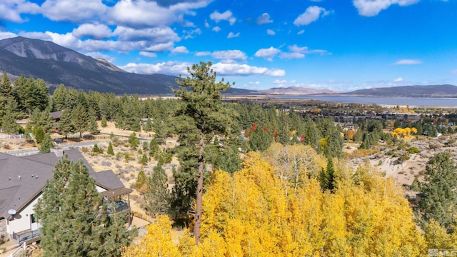 7450 Bryan Canyon Rd, Washoe Valley, NV 89704 - photo 28