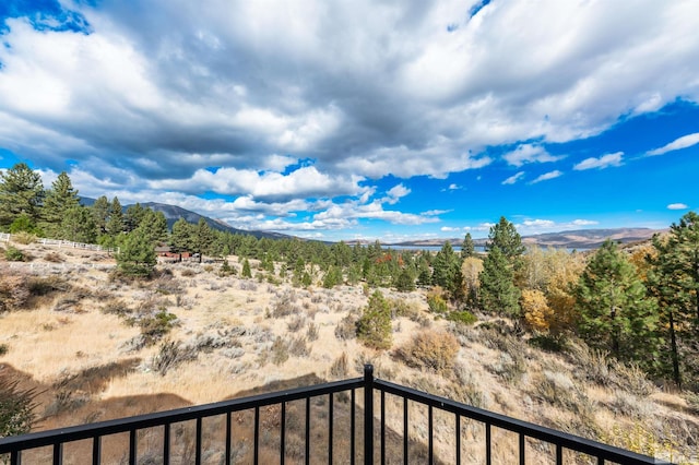 7450 Bryan Canyon Rd, Washoe Valley, NV 89704 - photo 29