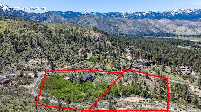 7450 Bryan Canyon Rd, Washoe Valley, NV 89704 - photo 32