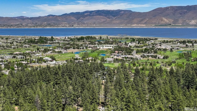 7450 Bryan Canyon Rd, Washoe Valley, NV 89704 - photo 33
