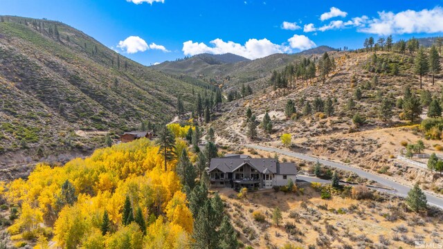 7450 Bryan Canyon Rd, Washoe Valley, NV 89704 - photo 35