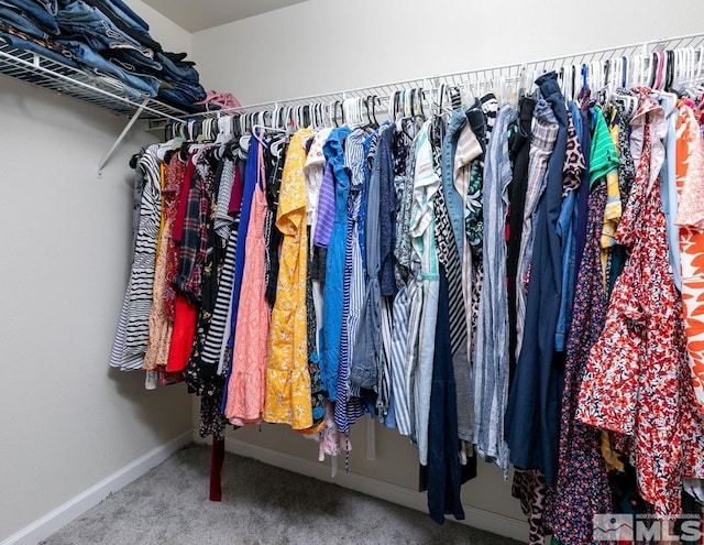 261 Brent St, Fallon, NV 89406 - walk in closet with carpet flooring