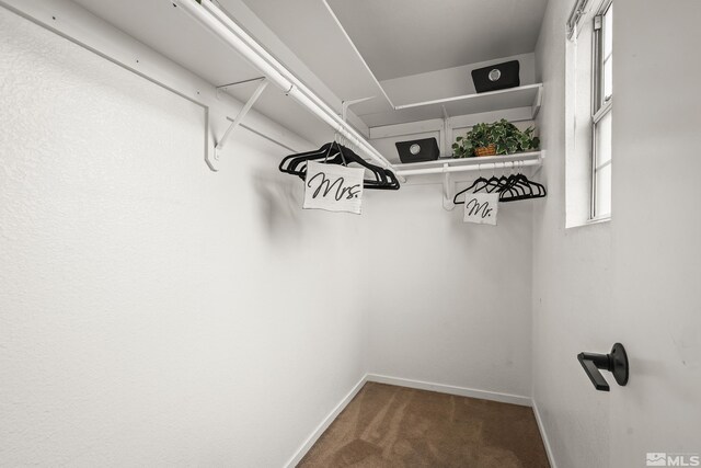 5625 Vista Luna Dr Unit 102, Sparks, NV 89436 - walk in closet featuring carpet flooring