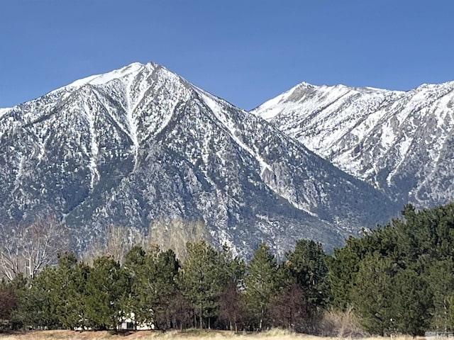 950 Heavenly View Ct, Gardnerville, NV 89460