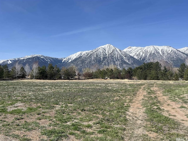 950 Heavenly View Ct, Gardnerville, NV 89460