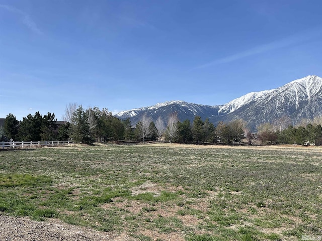 950 Heavenly View Ct, Gardnerville, NV 89460