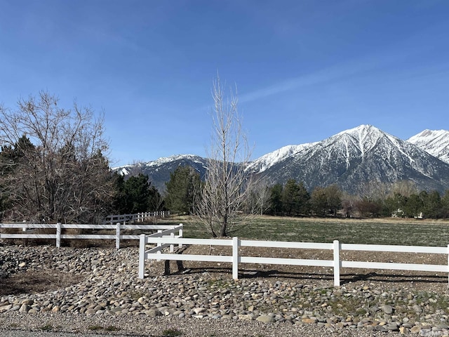 950 Heavenly View Ct, Gardnerville, NV 89460