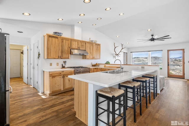 217 Shetland Cir, Reno, NV 89508 - kitchen featuring a sink, under cabinet range hood, dark wood finished floors, recessed lighting, and light countertops